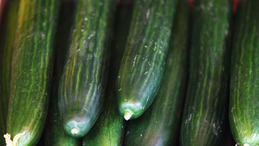 052911 cucumbers ecoli