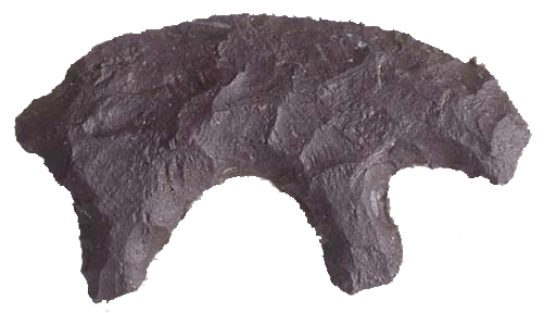 <strong>Artefacto prehistórico estatal</strong>: oso de piedra astillado<br>Uno de los símbolos más inusuales de California es el artefacto prehistórico del estado, el oso de piedra astillado. El pedazo de roca volcánica fue desenterrado en 1985 durante una excavación arqueológica en Carlsbad. Es una pieza de 2.5 por 1.5 pulgadas con forma de oso, probablemente creada hace unos 7,000 a 8,000 años.