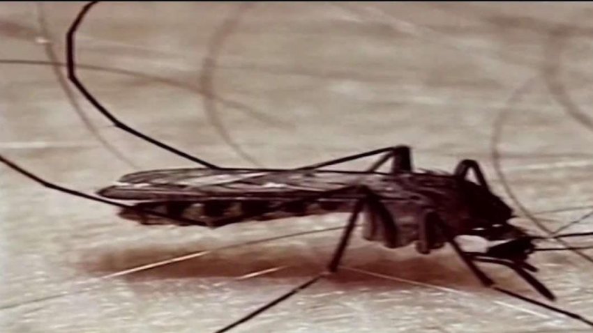 Confirman_caso_humano_del_virus_del_Nilo_Occidental.jpg