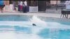 Escapa del calor: estas son las piscinas públicas de la ciudad de Sacramento