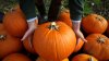 Estos son los huertos de calabazas y laberintos de maíz en el área de Sacramento