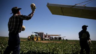 campos-agricolas-california-accion-ejecutiva