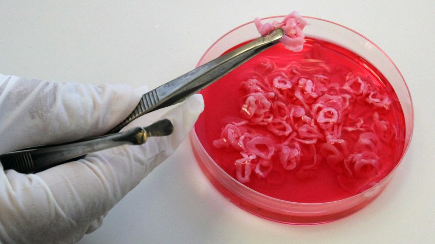 Carne “cultivada”, la alternativa sostenible de un laboratorio argentino