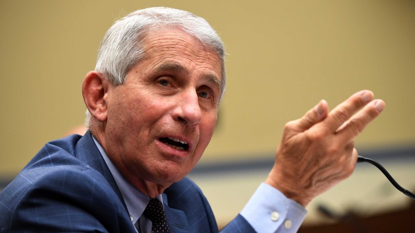 doctor Fauci