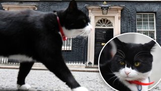 Palmerston, el ratonero jefe de la Foreign Office, el servicio diplomático británico.