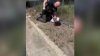 Despiden a oficial de Rancho Cordova tras polémico video de pelea con adolescente de 14 años