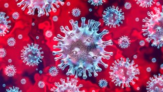 foto generica de celulas de coronavirus.