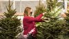 ¿Dónde cortar o comprar un árbol de Navidad al norte de California?