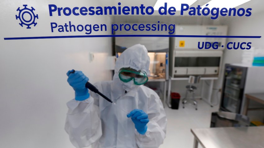 En México analizan una posible nueva variante del SARS-CoV-2