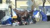 Organizan juntas comunitarias para abordar el problema de desapamarados en el condado San Joaquín