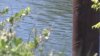 Tras varios días de búsqueda, hallan cuerpo de desaparecido en río Sacramento