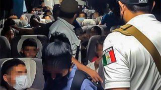 Personal de Migración detiene a un grupo de personas centroamericanas