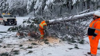 A tree blocks Interstate 80 in the Sierra Nevada.