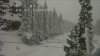 California bajo nieve: tormenta invernal provoca el cierre de carreteras