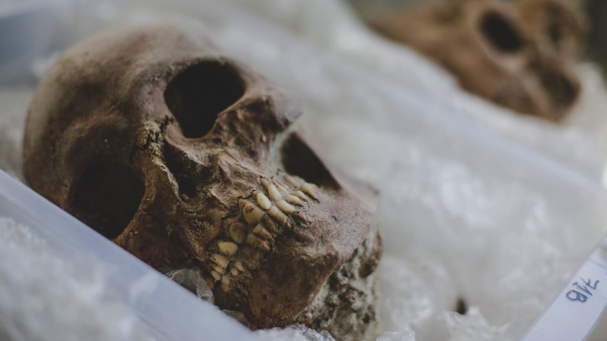 En video: descubren en Brasil un cementerio del siglo 17