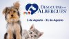 Desocupar los Albergues 2022