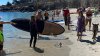 Tiburón ataca a un paddle boarder en una playa en California