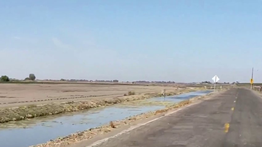 Esta es el área donde encuentran los 4 cuerpos sin vida de una familia en Merced