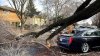 California solicita recursos federales para enfrentar estragos de la tormenta