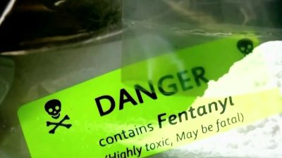 Fentanilo: Tentación Mortal ¿Por dónde entra y se distribuye la mortal droga?
