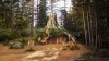 CNBC: Airbnb está ofreciendo un fin de semana gratuito en el Pantano de Shrek en Escocia