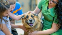 Más de 1 millón de mascotas adoptadas: Desocupar Los Albergues celebra hito especial