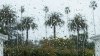 Declaran estado de emergencia para el sur de California debido a lluvias intensas