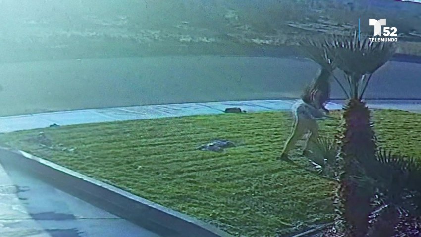 En video: Perro ataca a niña mientras caminaba a la escuela