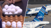 Insólito: ¿Brujería en La Casa de los Famosos? Y dos aviones de JetBlue chocan con pasajeros a bordo