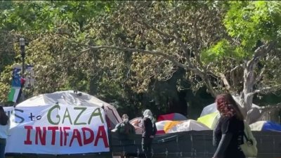 Estudiantes de UC Davis acampan pacíficamente en apoyo a Palestina