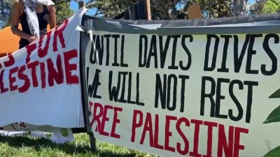 Estudiantes de la universidad de UC Davis se suman a las manifestaciones propalestina