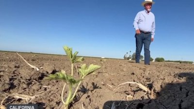¿Quién es José del Bosque?: agricultor del área de Fresno recibe premio Espíritu Latino