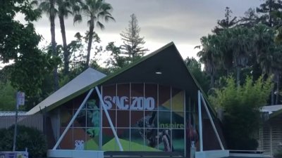 Zoológico de Sacramento se traslada a Elk Grove