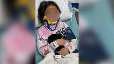 Accidente con venado deja a una niña mal herida y con fracturas en Placerville, según su familia