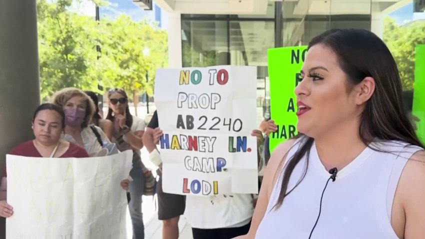 Trabajadores del campo protestan ante proyecto de ley que pondría en riesgo “estabilidad laboral”
