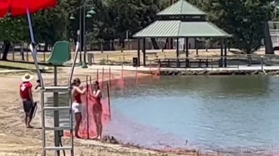 Cierran acceso a bañistas a lago de la zona por propagación de bacteria