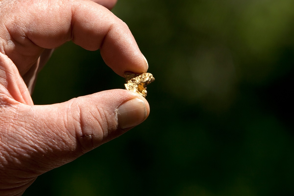 <strong>Mineral estatal</strong>: Oro <br>El mineral del estado de California es el oro, debido a la fiebre del oro de mediados de 1800 que fue una parte clave de la historia y el crecimiento del estado. (Foto: David Paul Morris/Getty Images)