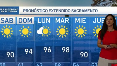 Pronóstico del tiempo