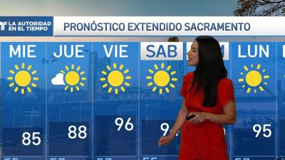 Pronóstico del tiempo