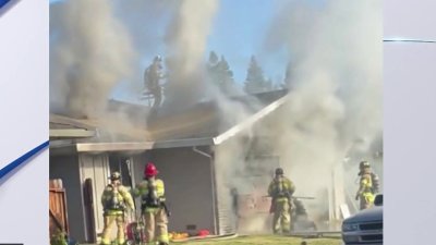 Familia queda desplazada tras incendio provocado mientras cocinaban el pavo