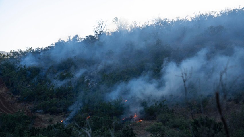 Chile y California (EE.UU.) se unen para combatir los devastadores incendios forestales