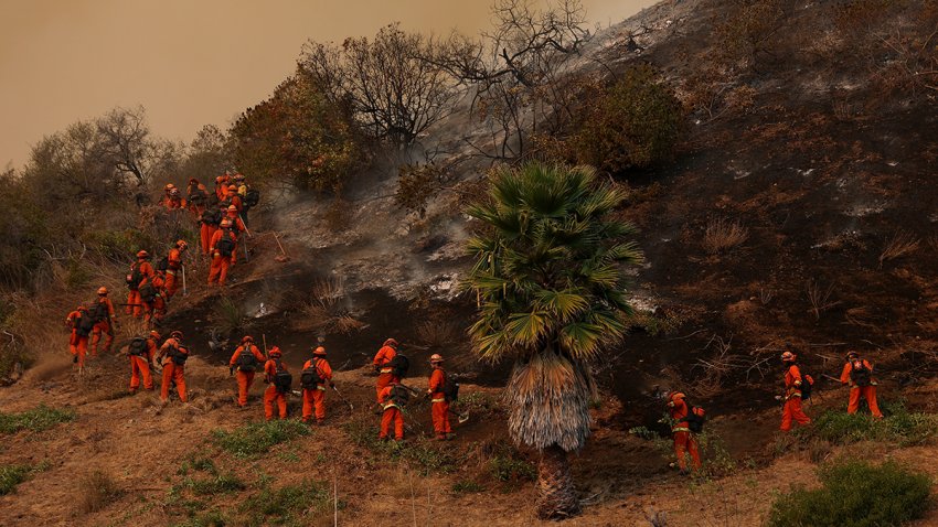 Inmate firefighters dig a containment line as they battle the Palisades Fire on Jan. 11, 2025 in Los Angeles.