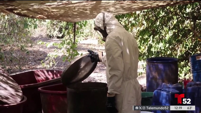 México decomisa más de 4 toneladas de metanfetaminas en Sinaloa