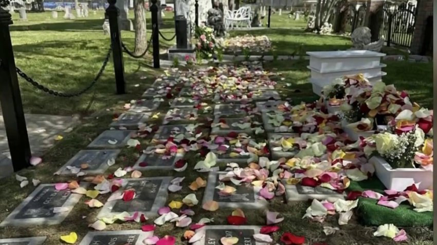 Jardín de la Inocencia: organizan funeral de bebés abandonados en Fresno