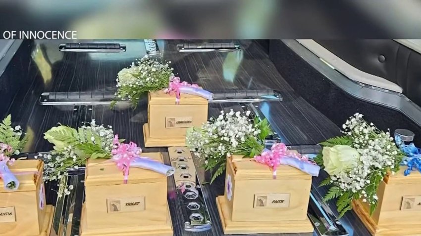 Un jardín de la inocencia para los cuerpos de bebés abandonados en Fresno