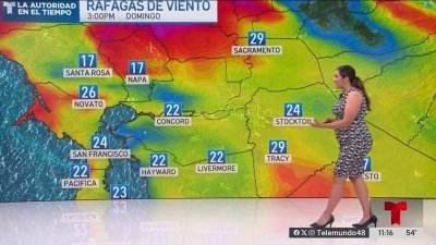 Pronóstico del Tiempo