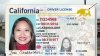 Lo que debes saber sobre el Real ID a unos días de que entre en vigor