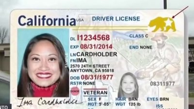Lo que debes saber sobre el Real ID a unos días de que entre en vigor