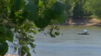 Detectan niveles elevados de bacteria E Coli al sur del Río Americano en Sacramento