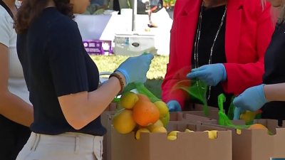 Piden legisladores y voluntarios más fondos estatales para bancos de comida en Sacramento